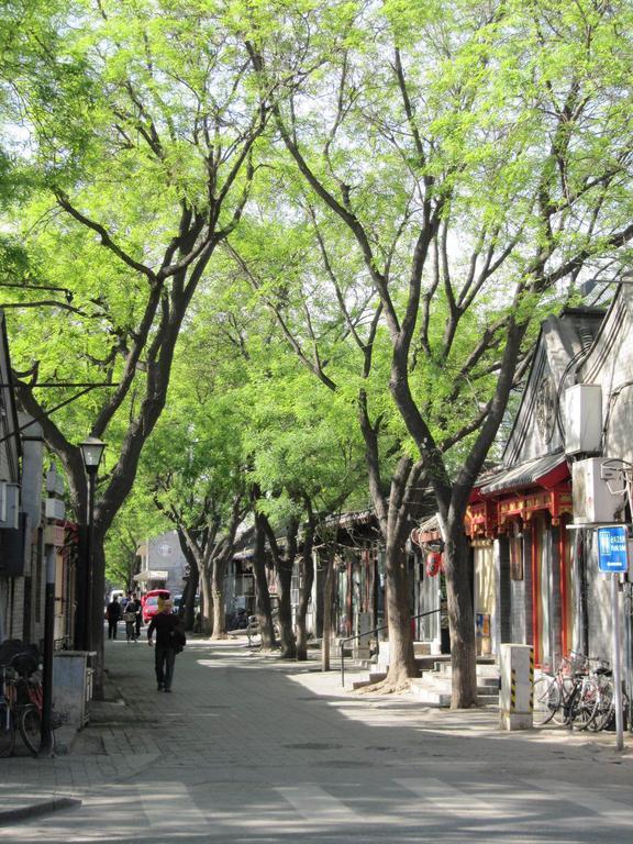 Albergue Hutong *